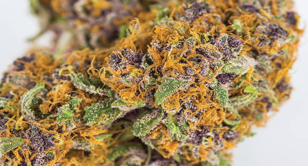 These 11 Sweet Cannabis Strains Are Better Than Candy