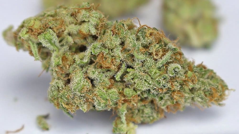 These 11 Sweet Cannabis Strains Are Better Than Candy