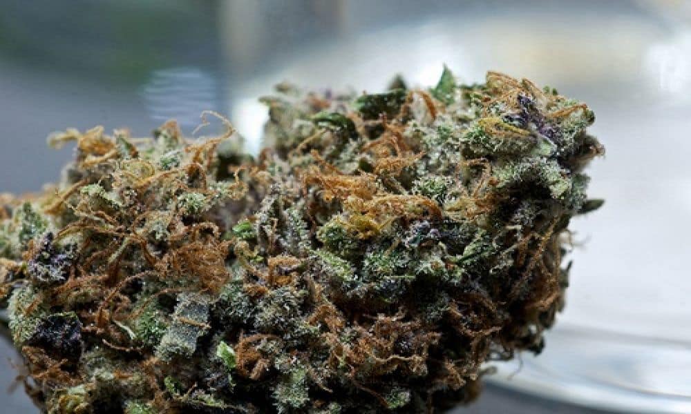 10 Best Weed Strains For Psoriasis