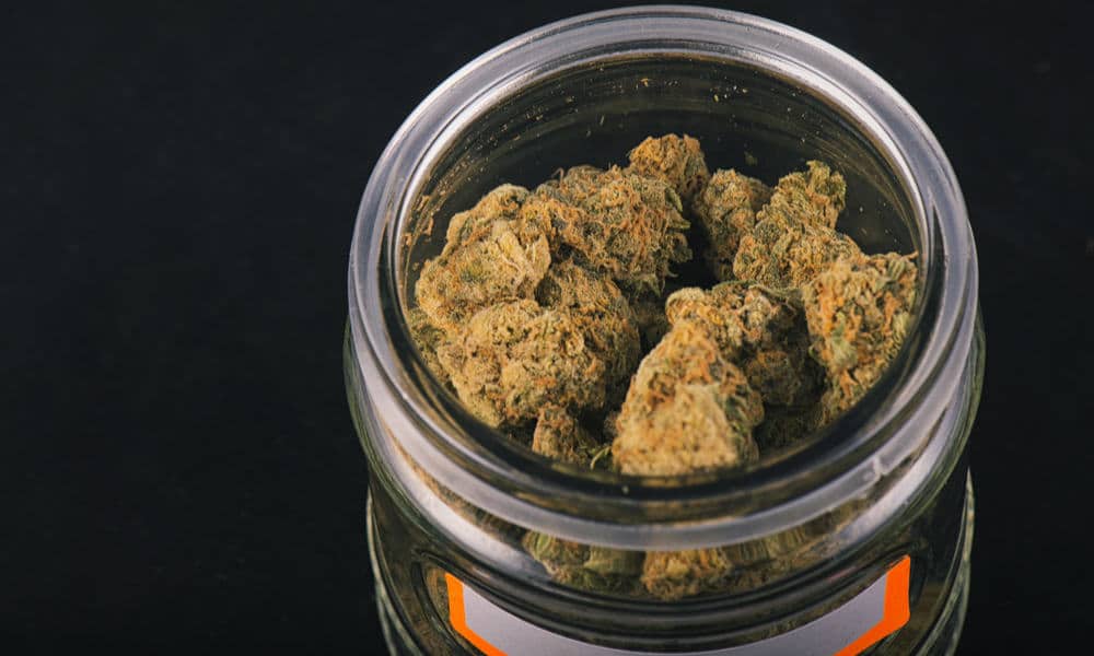 10 Best Storage Containers For Weed