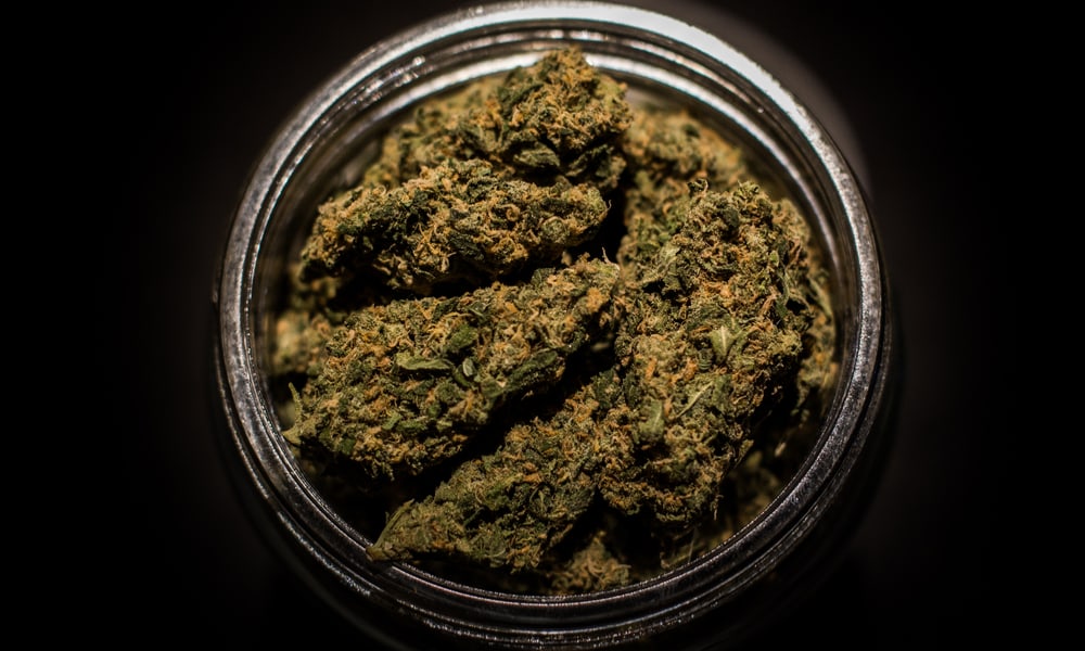 10 Best Weed Strains For PTSD