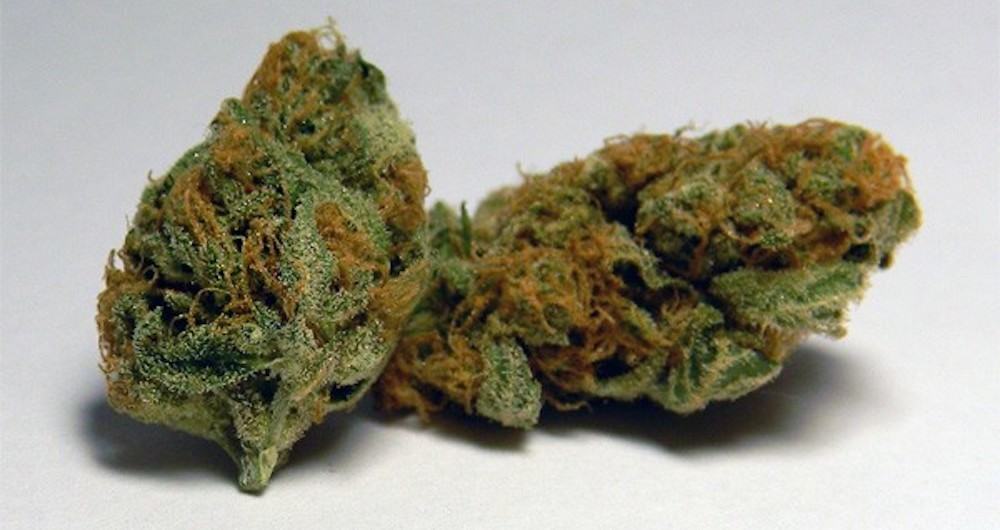11 Sweet Cannabis Strains That Are Better Than Candy