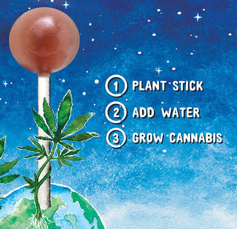 Half Lit Cannabis-Infused Organic Lollipops