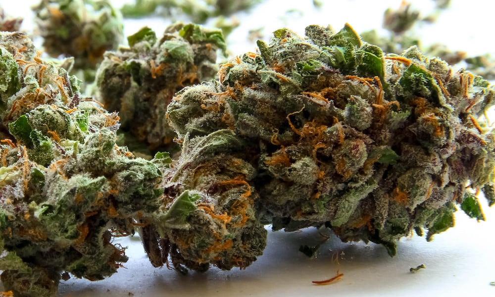 Best Weed Strains For Diabetes