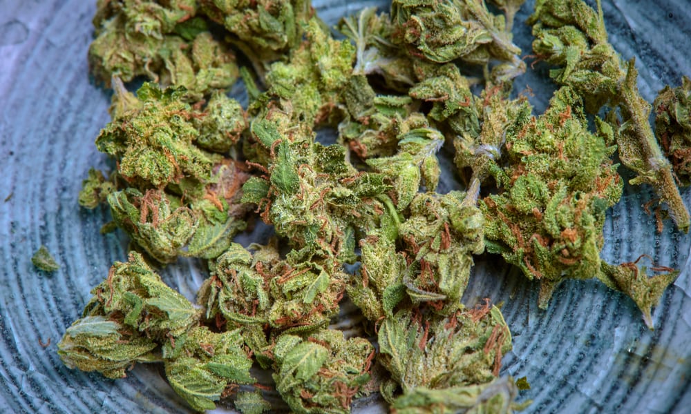 Best Weed Strains For Fibromyalgia