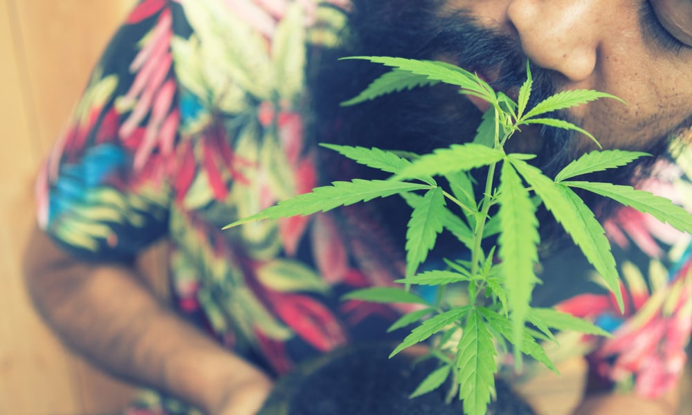 How To Buy Weed If You're Over 50