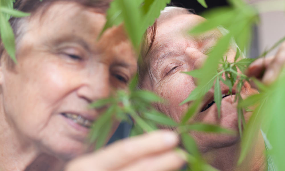 How To Buy Weed If You're Over 50