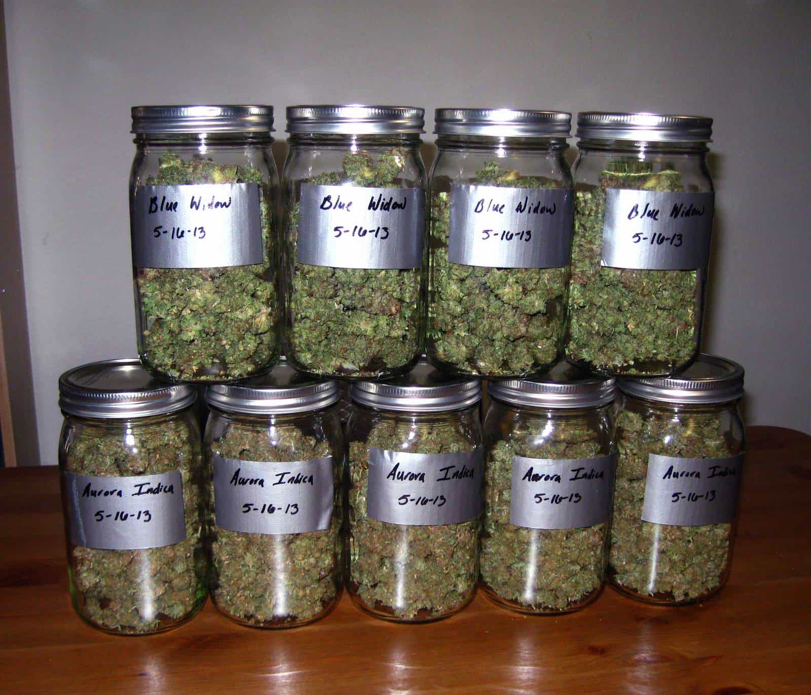 Growing Weed for Dummies: 10 Simple Steps to Get You Started 11