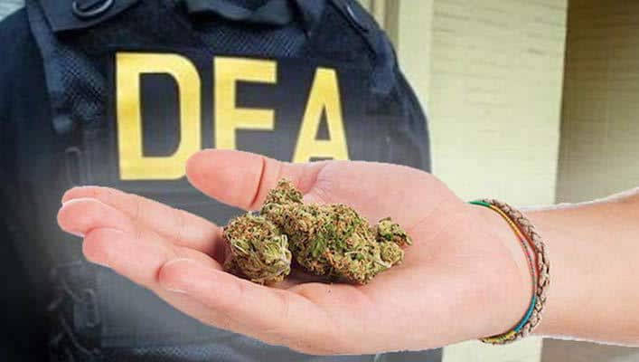 Lawmakers Push To Cut DEA Funding For Cannabis Eradication Program - Green Rush Daily