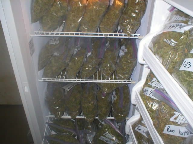 How to Store Your Weed to Maximize Potency