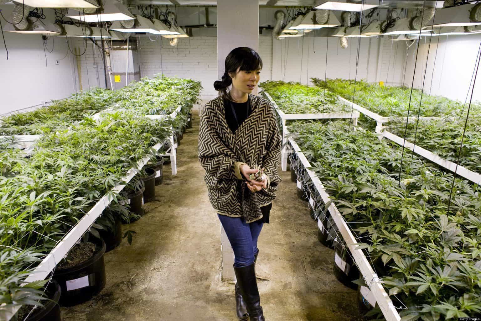 Marijuana Legalization in Colorado 2 Years Later