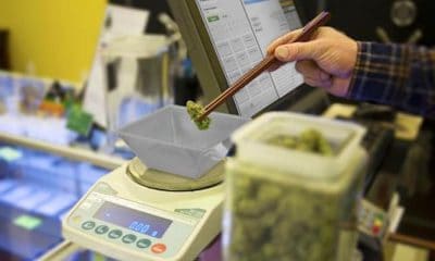 Cannabis Related Software Company Scores Big Raises 8 Million - GREEN RUSH DAILY