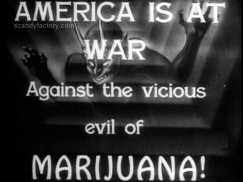 How marijuana became illegal