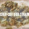 First Kosher Certified Cannabis Strains Debut in the New Year - GREEN RUSH DAILY