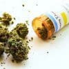Federal Ban Lifted On Medical Marijuana | GREEN RUSH DAILY