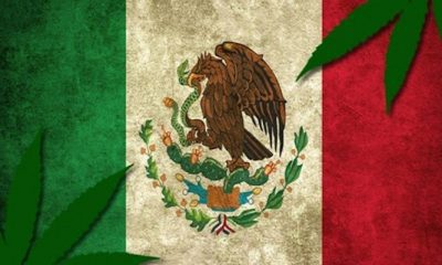 Mexico Issues First Recreational Marijuana Permits -GREEN RUSH DAILY