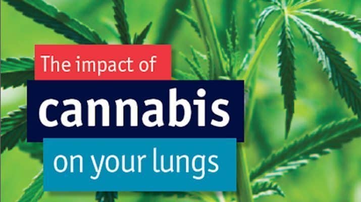 The Truth Behind Marijuana Smoke On The Lungs - Green Rush Daily