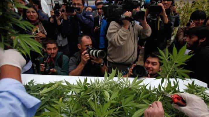 Chile Removes Marijuana From List of "Hard Drugs," Takes First Step Toward Legalization - GREEN RUSH DAILY