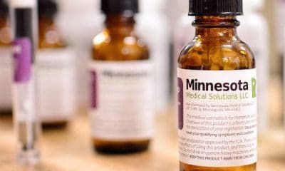 Minnesota cannabis company creates "most CBD-rich strain in the world" - GREEN RUSH DAILY