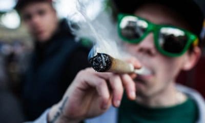 The 6 Most Popular Ways to Consume Cannabis in the USA - GREEN RUSH DAILY