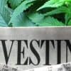 In Leaked Report Merrill Lynch Says It's "Bullish" About Cannabis | GREEN RUSH DAILY