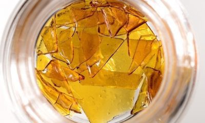 "Shatter," An Ultra-High-Potency Marijuana Extract, Is Lighting Up The East Coast - GREEN RUSH DAILY