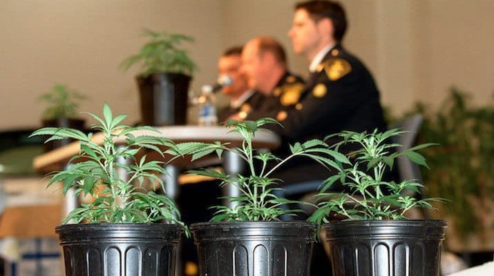 How the DEA Profits on Cannabis - GREEN RUSH DAILY