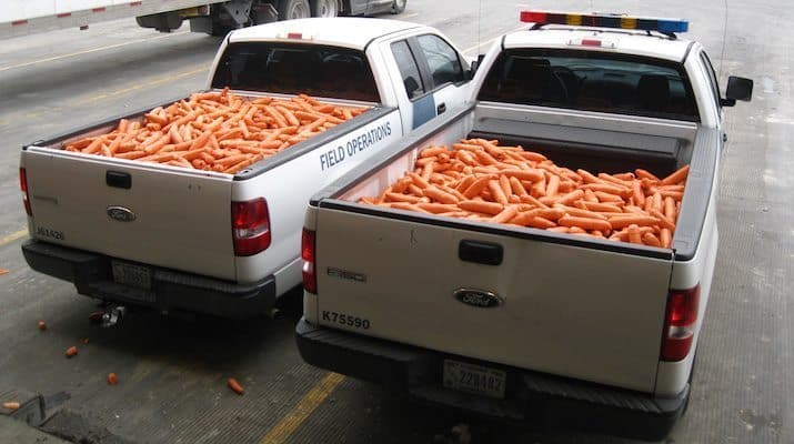 How To Disguise 2,493 Pounds of Marijuana As Fresh Carrots - GREEN RUSH DAILY