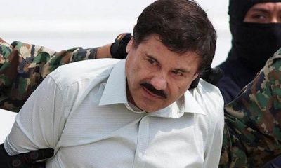 Notorious Drug Lord "El Chapo" Captured in Mexico...Again - GREEN RUSH DAILY