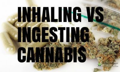 Inhaling vs. Ingesting Cannabis: What's the Difference & Why - GREEN RUSH DAILY