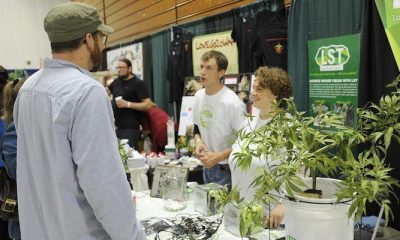New Rules Limit Number of Pot Plants Caregivers Can Grow - GREEN RUSH DAILY