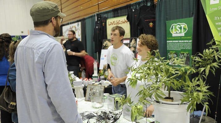 New Rules Limit Number of Pot Plants Caregivers Can Grow - GREEN RUSH DAILY