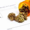 How Cannabis Can Eliminate The Prescription Painkiller Epidemic - GREEN RUSH DAILY