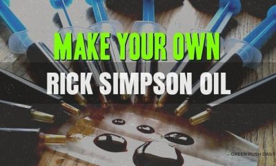 How to Make Your Own Rick Simpson Oil | Green Rush Daily