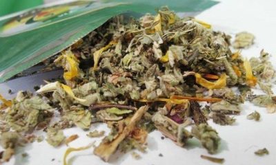 Is Synthetic Marijuana Use On The Rise Among Athletes? - GREEN RUSH DAILY