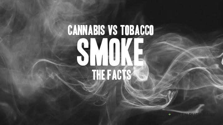 The Shocking Differences Between Cannabis and Tobacco Smoke - GREEN RUSH DAILY