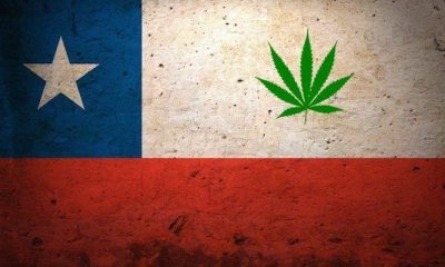 Chile Opens Massive Cannabis Farm | Green Rush Daily