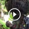 This is What Smoking Weed is All About (Video) | Green Rush Daily