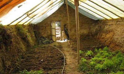 Build A $300 Underground Greenhouse For Year-round Growing (Video)
