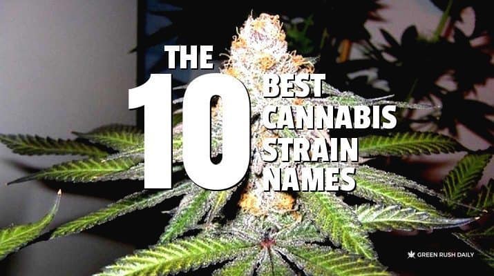 10 Best Cannabis Strain Names | Green Rush Daily