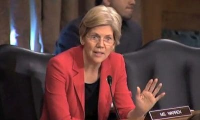 Elizabeth Warren Asks CDC To Fix The Painkiller Epidemic With Cannabis - Green Rush Daily
