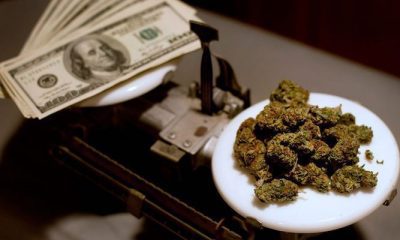 Oregon's Cannabis Sales Tax Will Make Or Break The State's Revenue Opportunity - GREEN RUSH DAILY