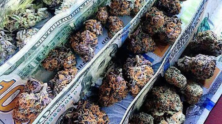 Colorado Made $996,184,788 Selling Weed Last Year | Green Rush Daily