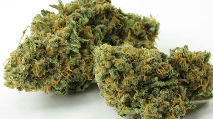 Green Crack: The Strain So Good You Won't Be Able to Stop - GREEN RUSH DAILY