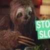 Price Tag of "Stoner Sloth" Ads Angers Australians - GREEN RUSH DAILY