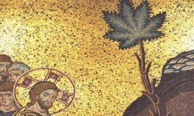 Experts Suggest Jesus May Have Used Cannabis Oil to Heal The Sick