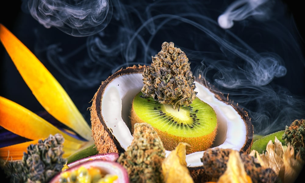 What Are Terpenes? Everything You Need To Know