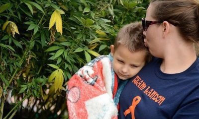 Cannabis Oil Cures Boy Of Cancer After Doctors Gave Him 48 Hours To Live