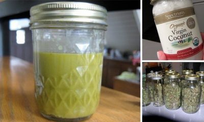 Cannabis and Coconut Oil Make A Potent Cancer Killing Mixture - Green Rush Daily