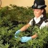 Report: Legalizing Cannabis Could Raise £1bn In Taxes for UK